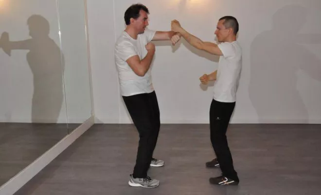 Wingtsun Lyon Prg 1 à 6 Février 2017, Lyon, PWTSRA