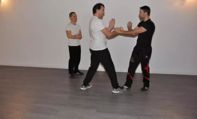 Wingtsun Lyon Prg 1 à 6 Février 2017, Lyon, PWTSRA